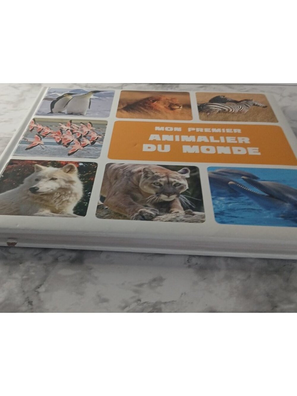 Mon Premier Animalier du Monde Auzou Livre Enfant Animaux Couverture Rigide - Picture 9 of 9